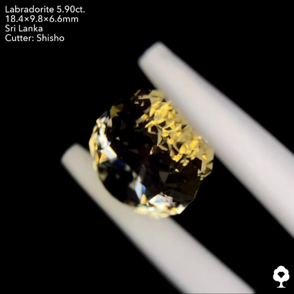 【SOLD OUT】圧倒的な存在感と細やかな煌めきを放つロングファンシーペアシェイプ★ラブラドライト5.90ct. 師匠作品★お問合せ特別価格★