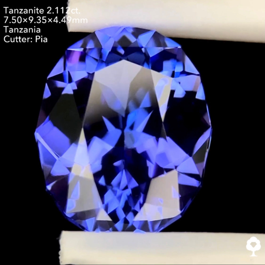 タンザナイト2.112ct. ファンシーオーバル ピアッちゃん作品