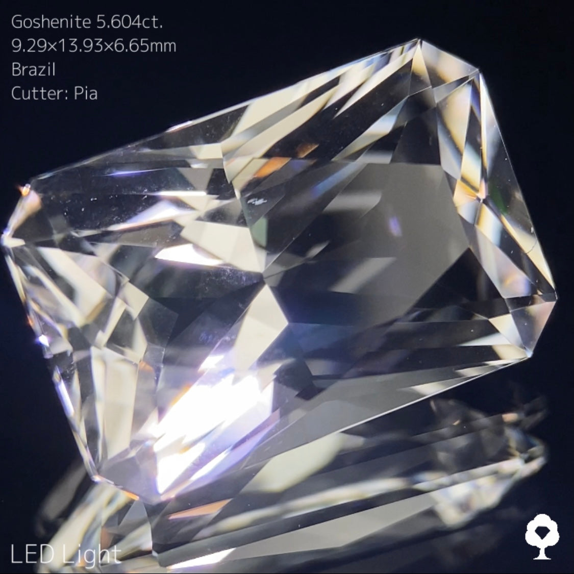 【5/5 21時終了】ZB 7枚迄使用可能【GWオークション③】ゴッシェナイト 5.604ct