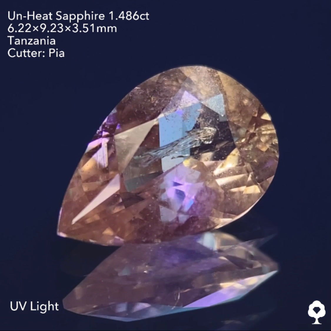 【仕切り直し】UVチェンジ美しいニュアンスカラーに舞い散るスノードームのようなインクル★非加熱サファイア1.486ctピアッちゃん作品