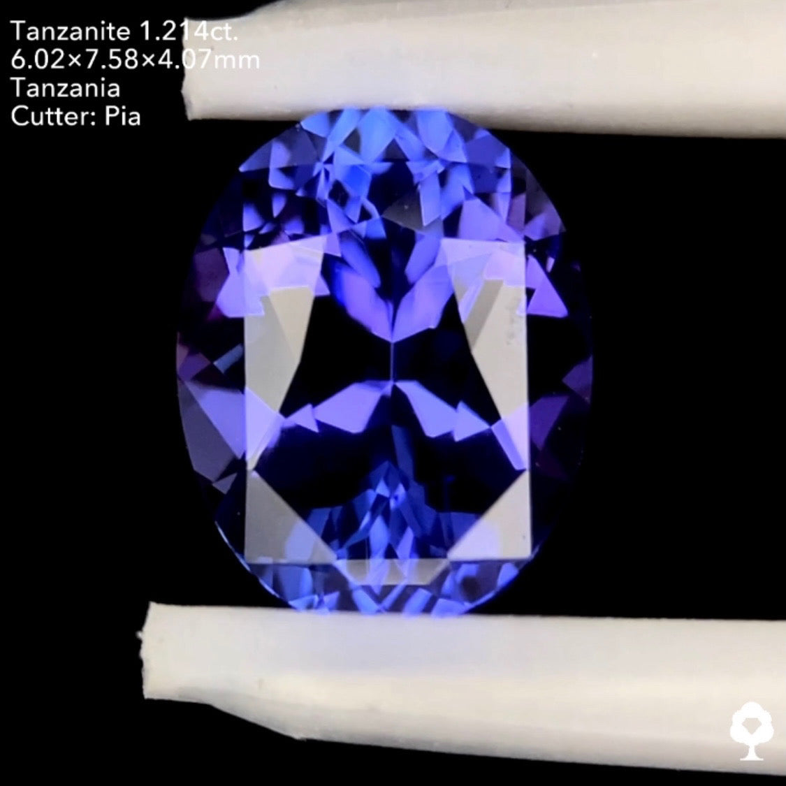 タンザナイト1.214ct. オーバル ピアッちゃん作品