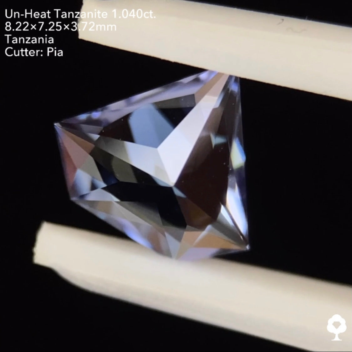 非加熱タンザナイト1.040ct. 宝石形 ピアッちゃん作品