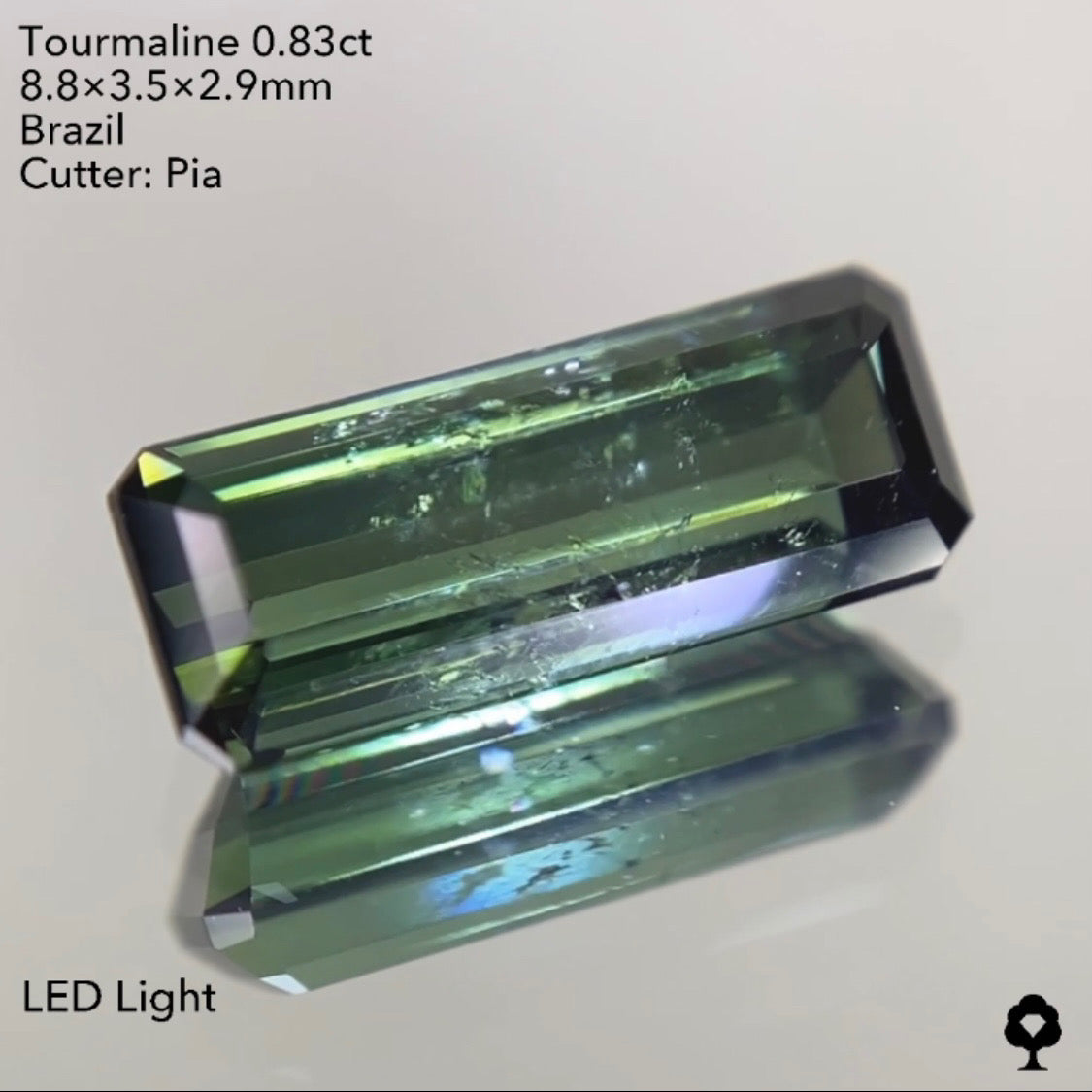 【ご落札者さま専用】トルマリン0.83ct 4/15チャットオークション