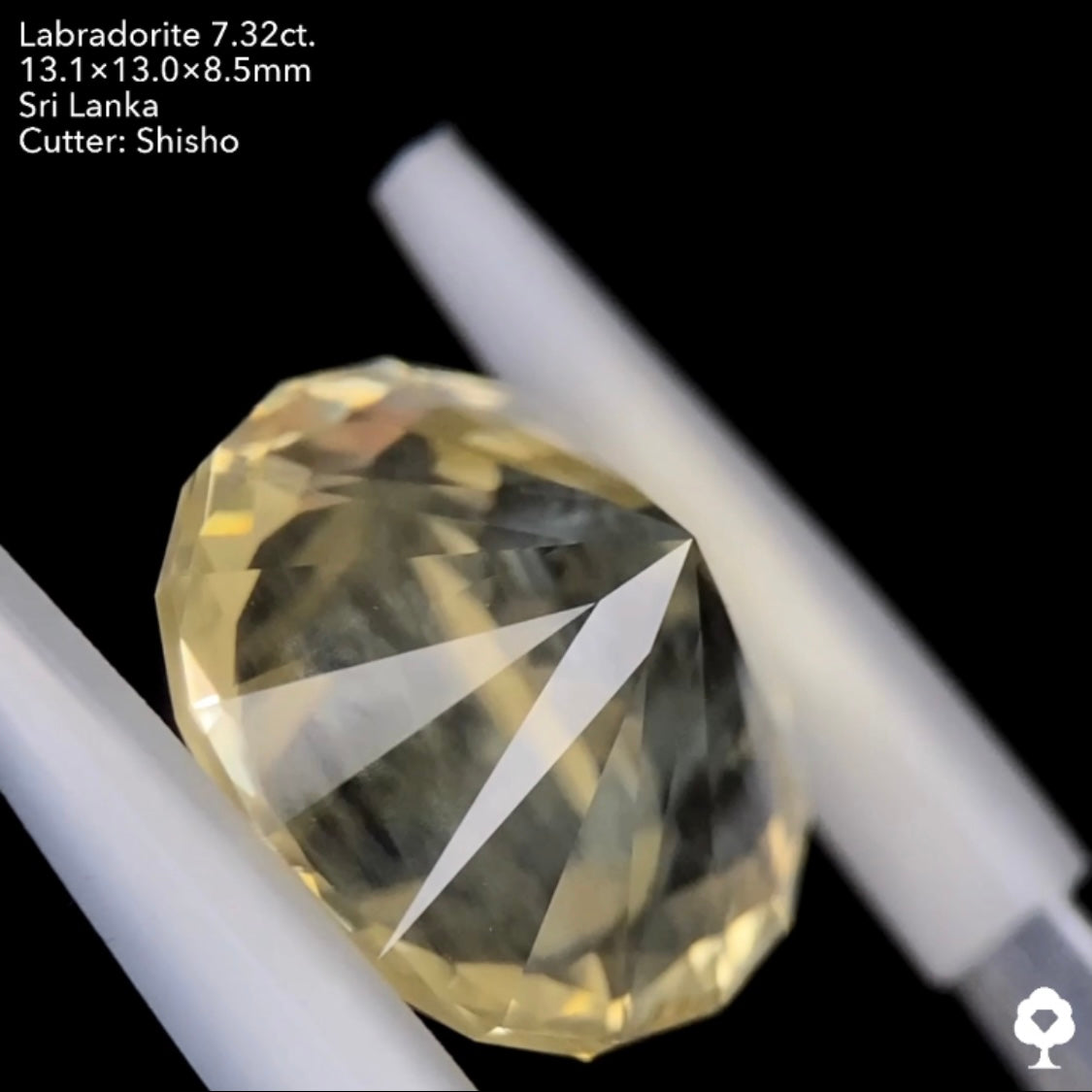 打ち上げ花火のようなシラーの3ステップクラウンファンシーラウンド★ゴールデンラブラドライト7.32ct. 師匠作品