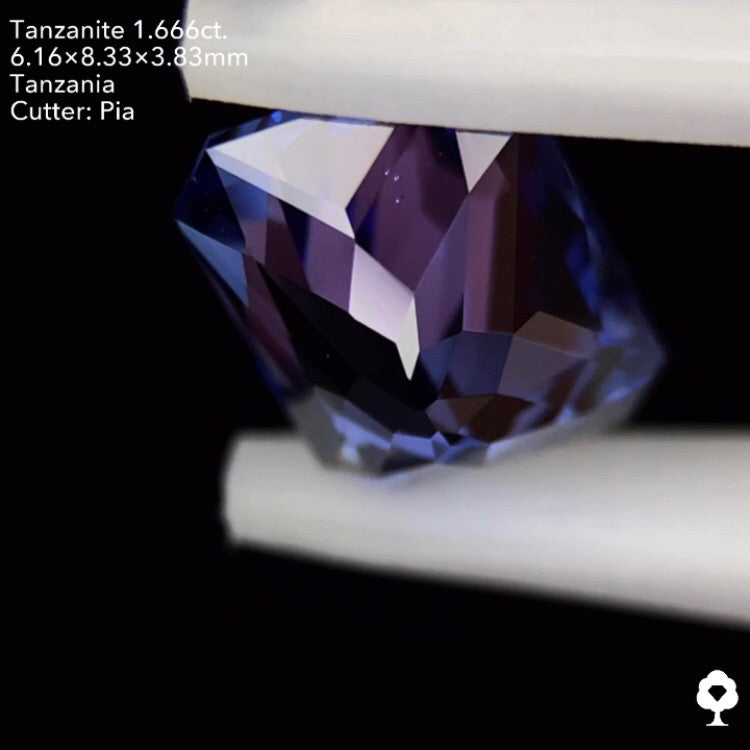 タンザナイト1.666ct. オクタゴン ピアッちゃん作品