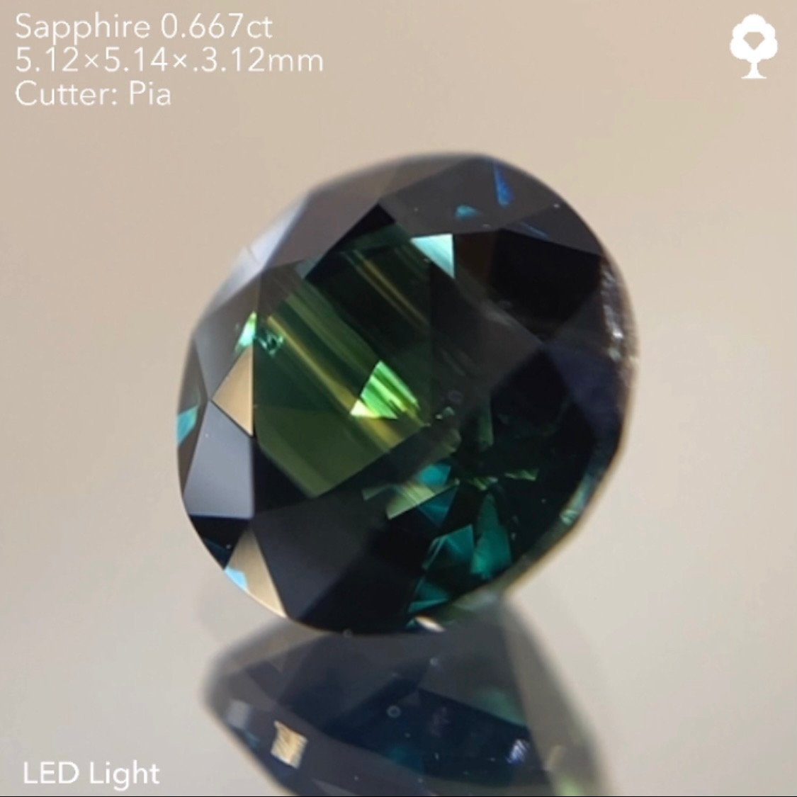 shopify auction