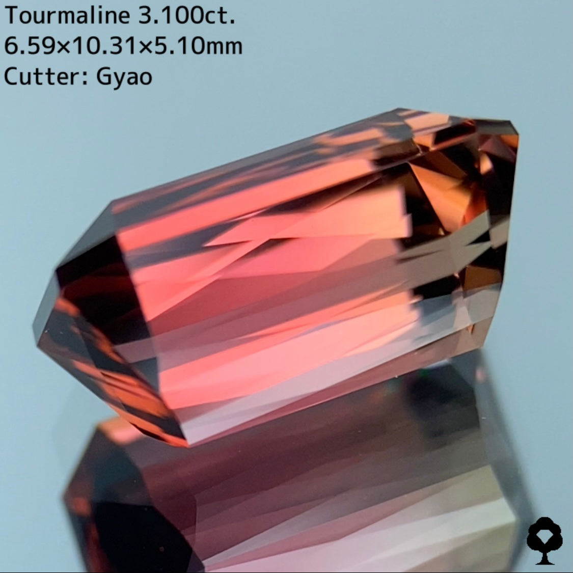 大人可愛いピンクからゴールドへのグラデーションにシザースの圧倒的な輝き★トルマリン 3.100ct