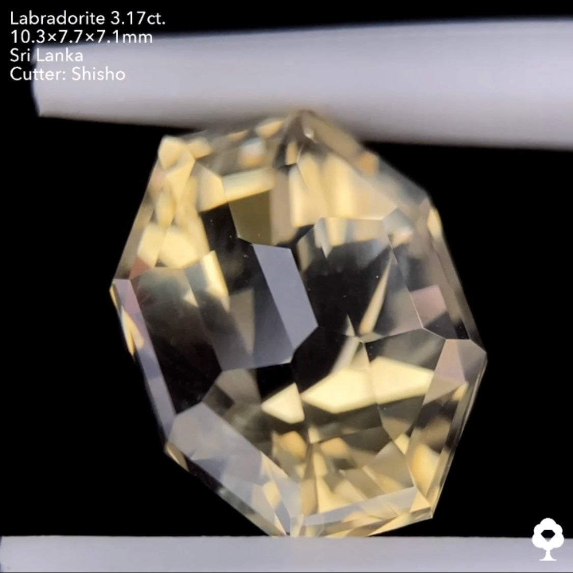【このカット残り1石】盾のようなテーブルなしの独創的カット★ゴールデンラブラドライト3.17ct. 師匠作品