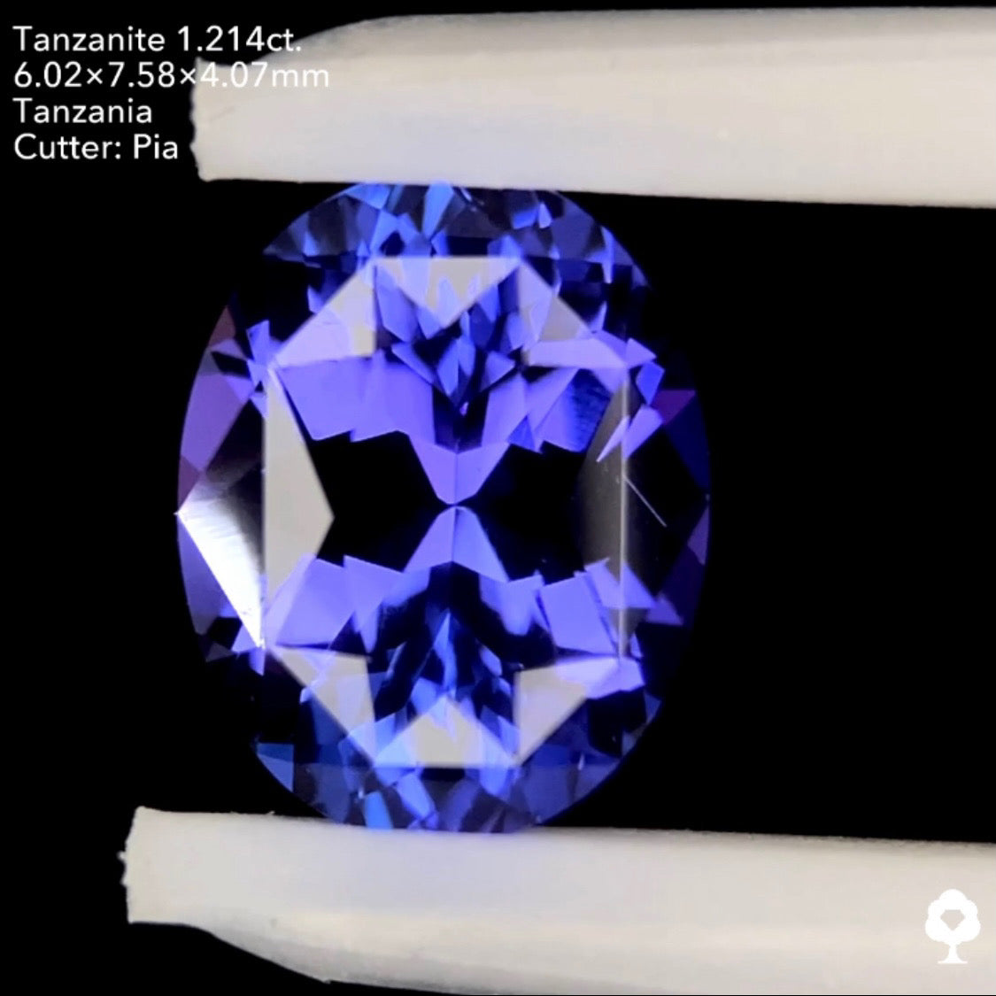 タンザナイト1.214ct. オーバル ピアッちゃん作品