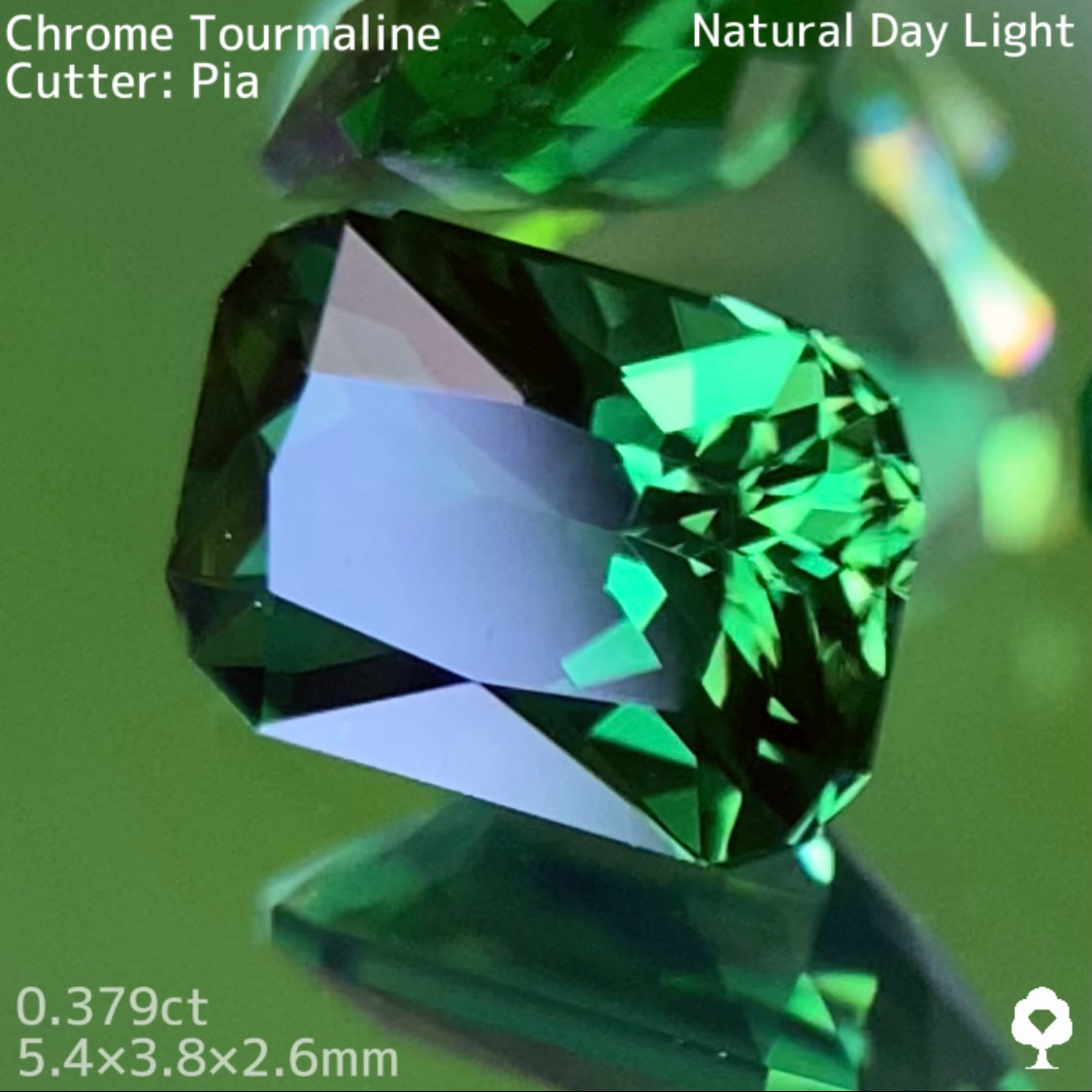 【高級プチプラ】クロムトルマリン 0.379ct