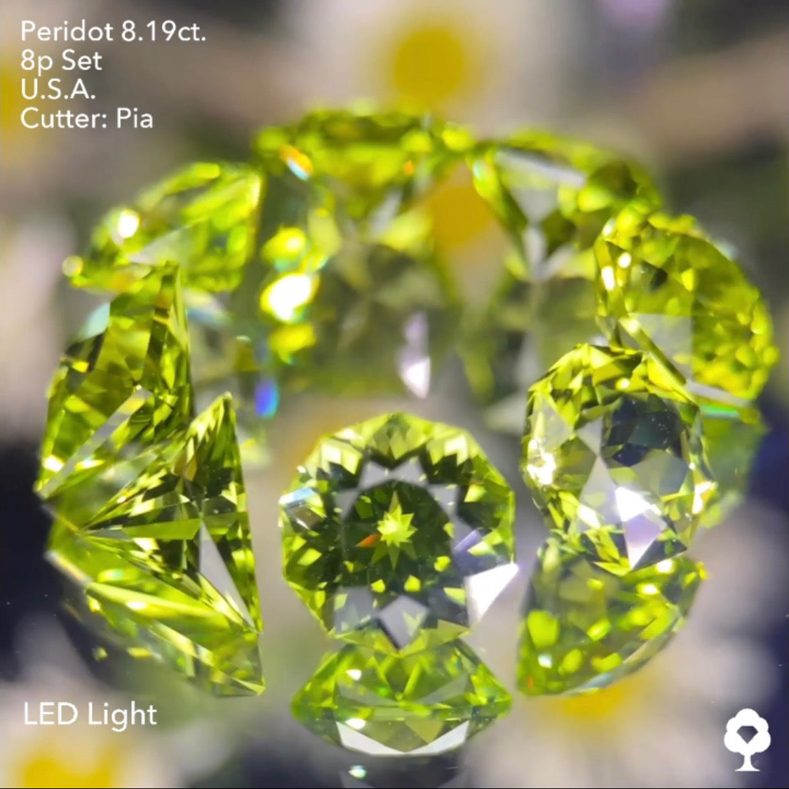 大きさ・クラリティ・輝き抜群の多角形セットはペリ好きの決定版★ペリドット8個多角形セット 計8.19ct. アメリカ産 ピアッちゃん作品