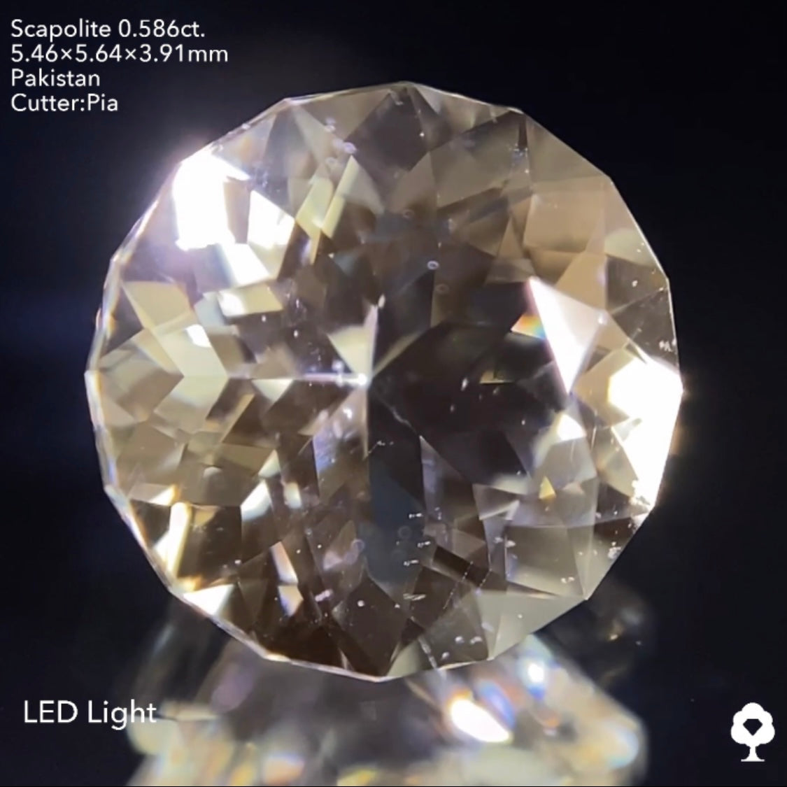 ギラギララウンドが蛍光して美しいたんぽぽになる★スキャポライト0.586ct ピアッちゃん作品
