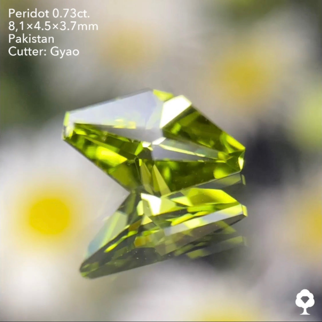 点対象の独創的すぎるゲオちゃんファンシーカイトペリドット0.73ct パキスタン産 ゲオちゃん作品