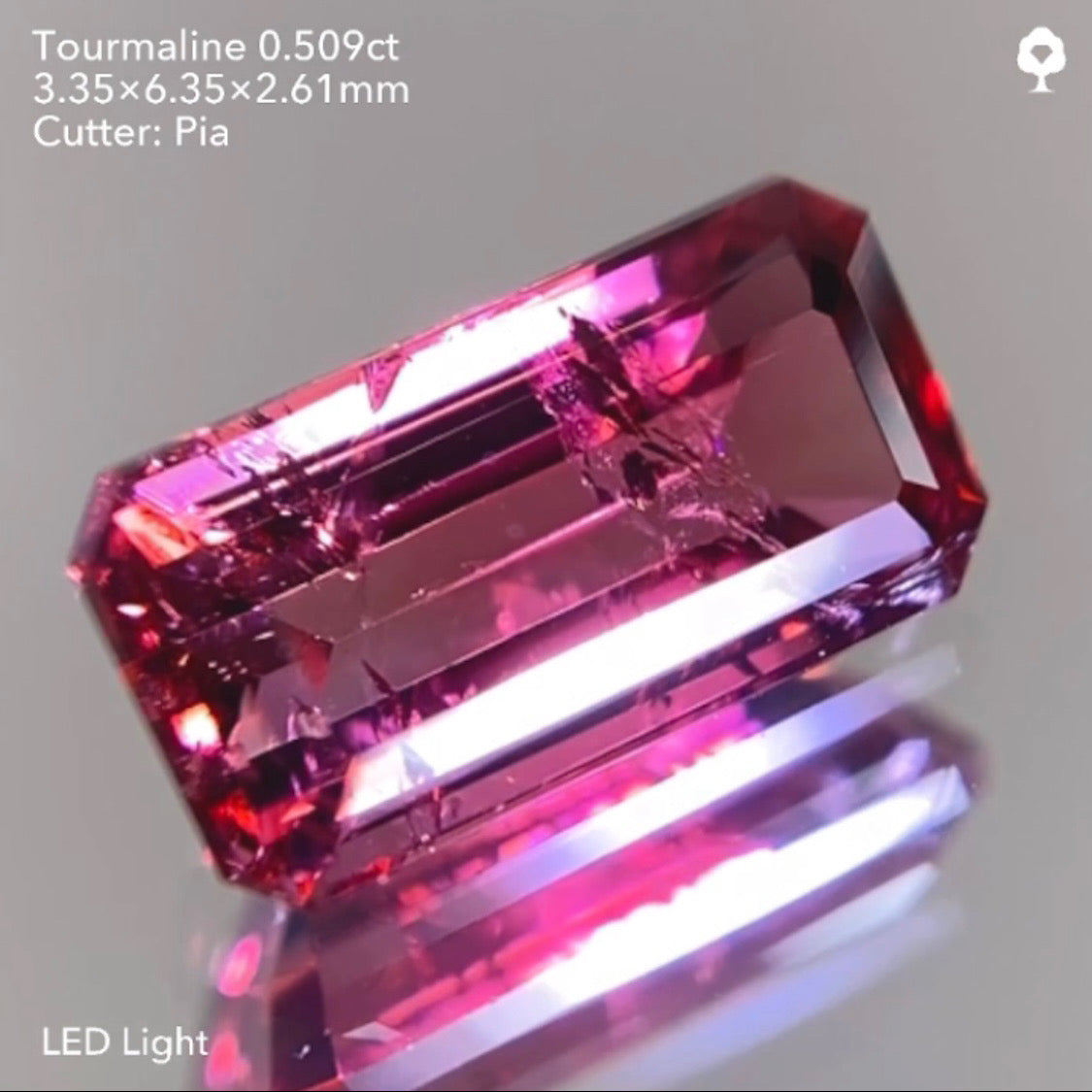 【サイレン配信逆オークション】トルマリン0.509ct ピアッちゃん作品