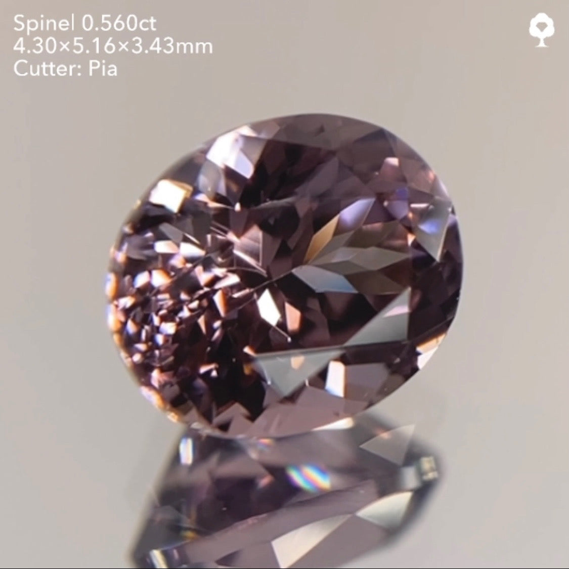 【23時終了‼️サンドウィッチオークション】潤めく美秋色を先取り🍂🍇🍁ブラウニッシュパープルスピネル0.560ct ピアッちゃん作品