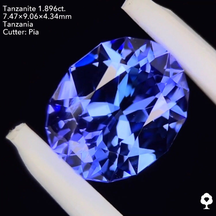 タンザナイト1.896ct. ファンシーオーバル ピアッちゃん作品