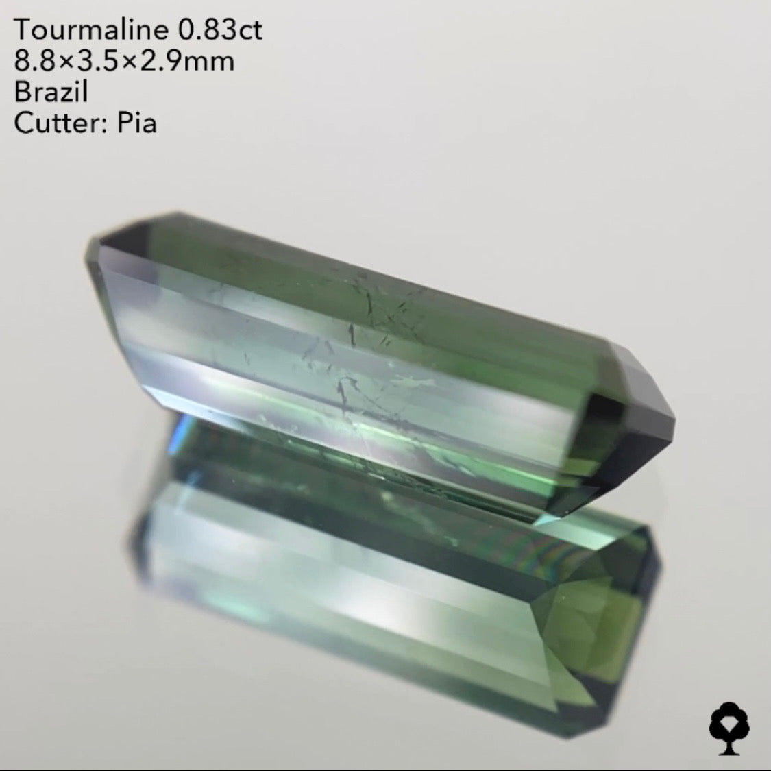 【ご落札者さま専用】トルマリン0.83ct 4/15チャットオークション