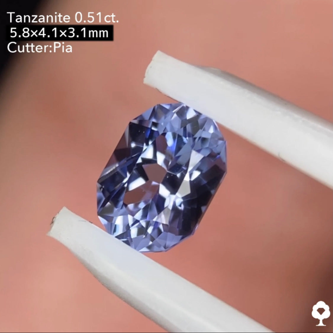 【おもてぃさんご当選】タンザナイト0.51ct ピアッちゃん作品