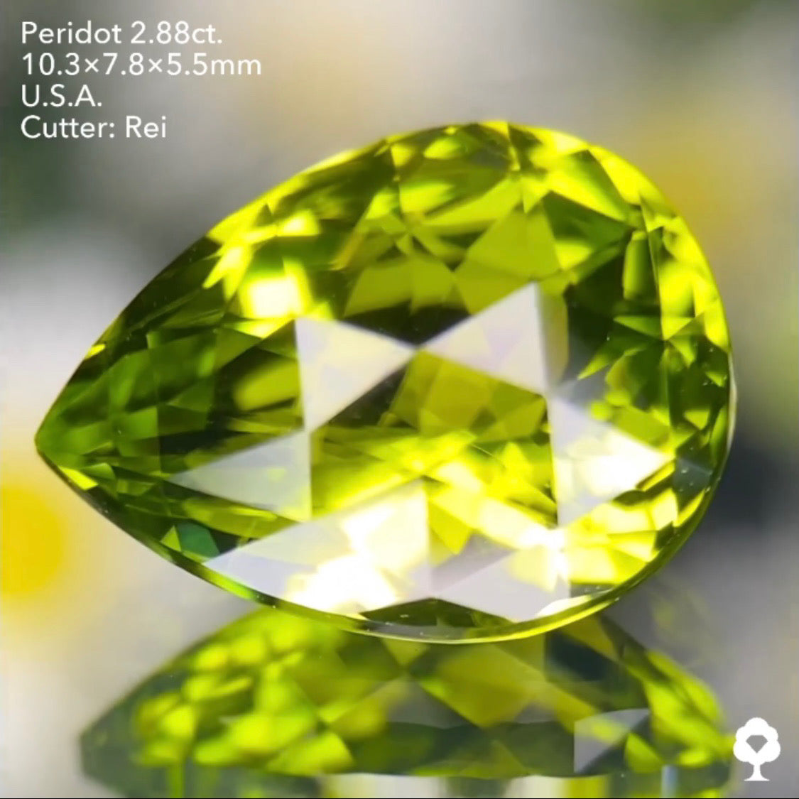 3角ファセット煌めく美色クラウンローズペアシェイプ★ペリドット2.88ct. アメリカ産 レイちゃん作品