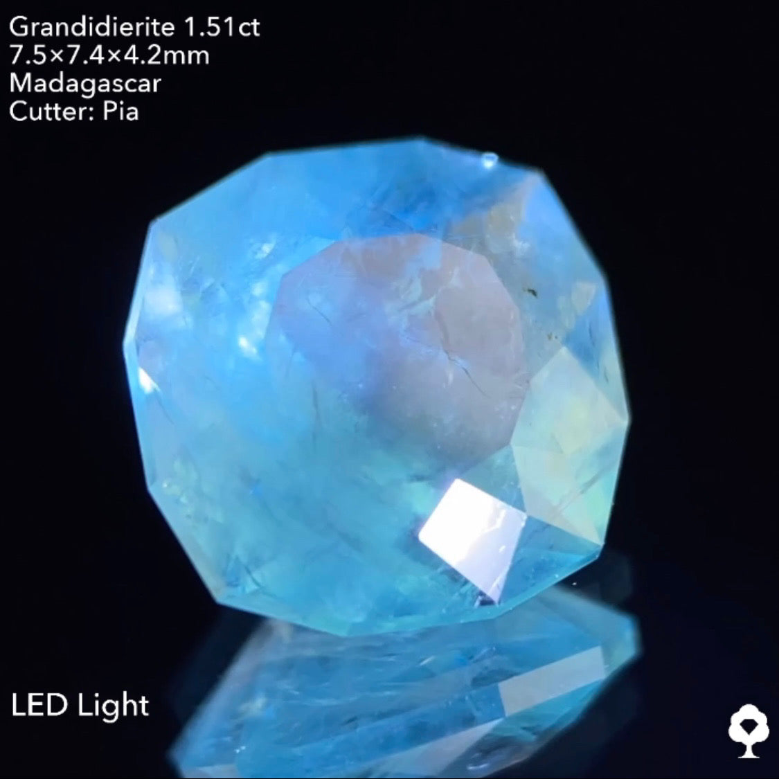 【仕切り直し‼️個展特別オークション】グランディディエライト1.51ct