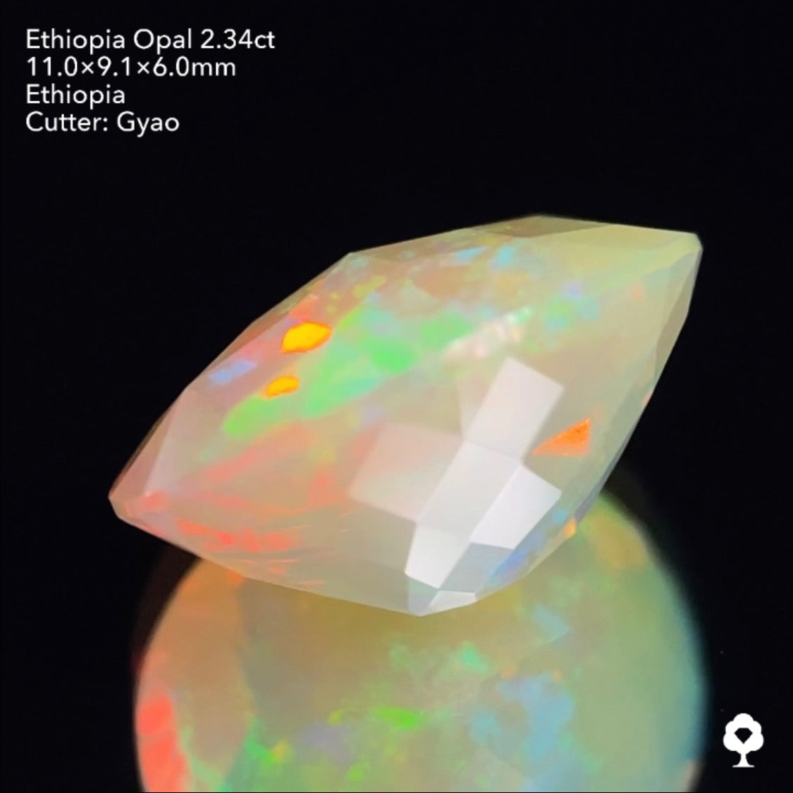ゲオ先生の独自カット作品「キューブスターカット・オーバルversion」エチオピアオパール2.34ct ✨