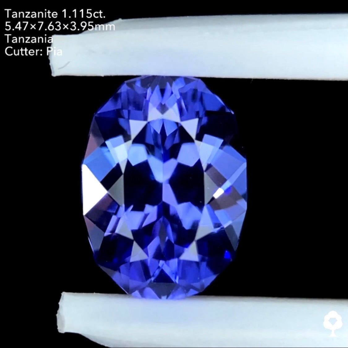 タンザナイト1.115ct. ファンシーオーバル ピアッちゃん作品