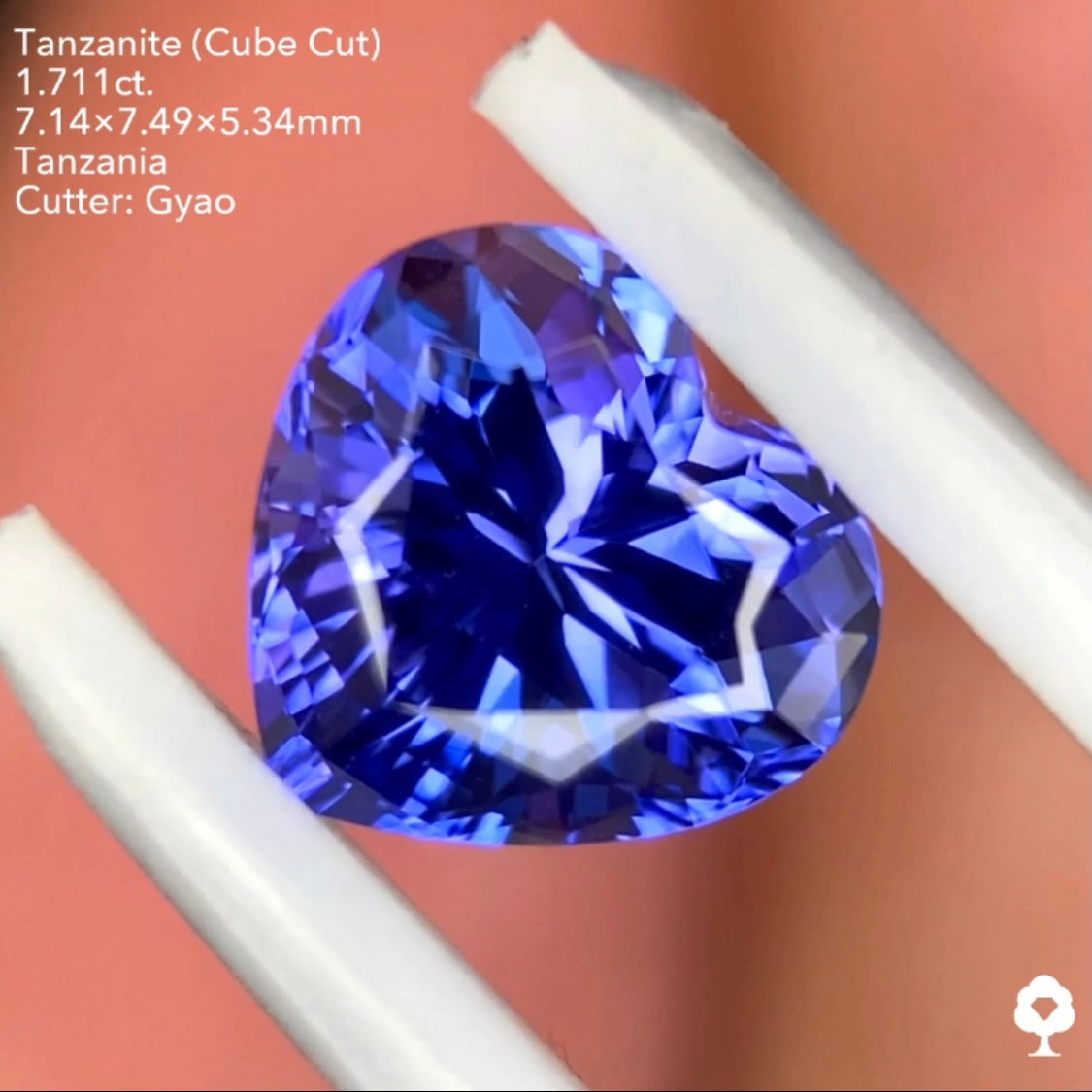 タンザナイト1.711ct. 変則キューブハートシェイプ ゲオちゃん作品