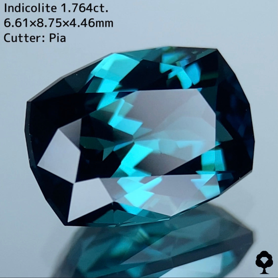 深い色合いから強烈な美色を放つ石質抜群のファンシークッション★インディゴライト 1.764ct