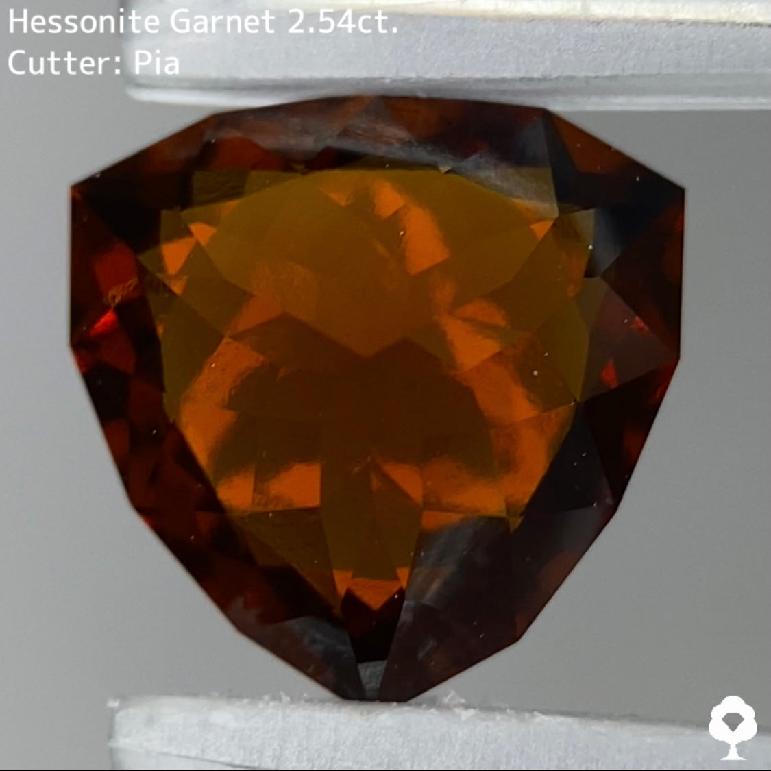 強烈なオレンジと輝きの完成度抜群トリリアント★ヘソナイトガーネット 2.54ct