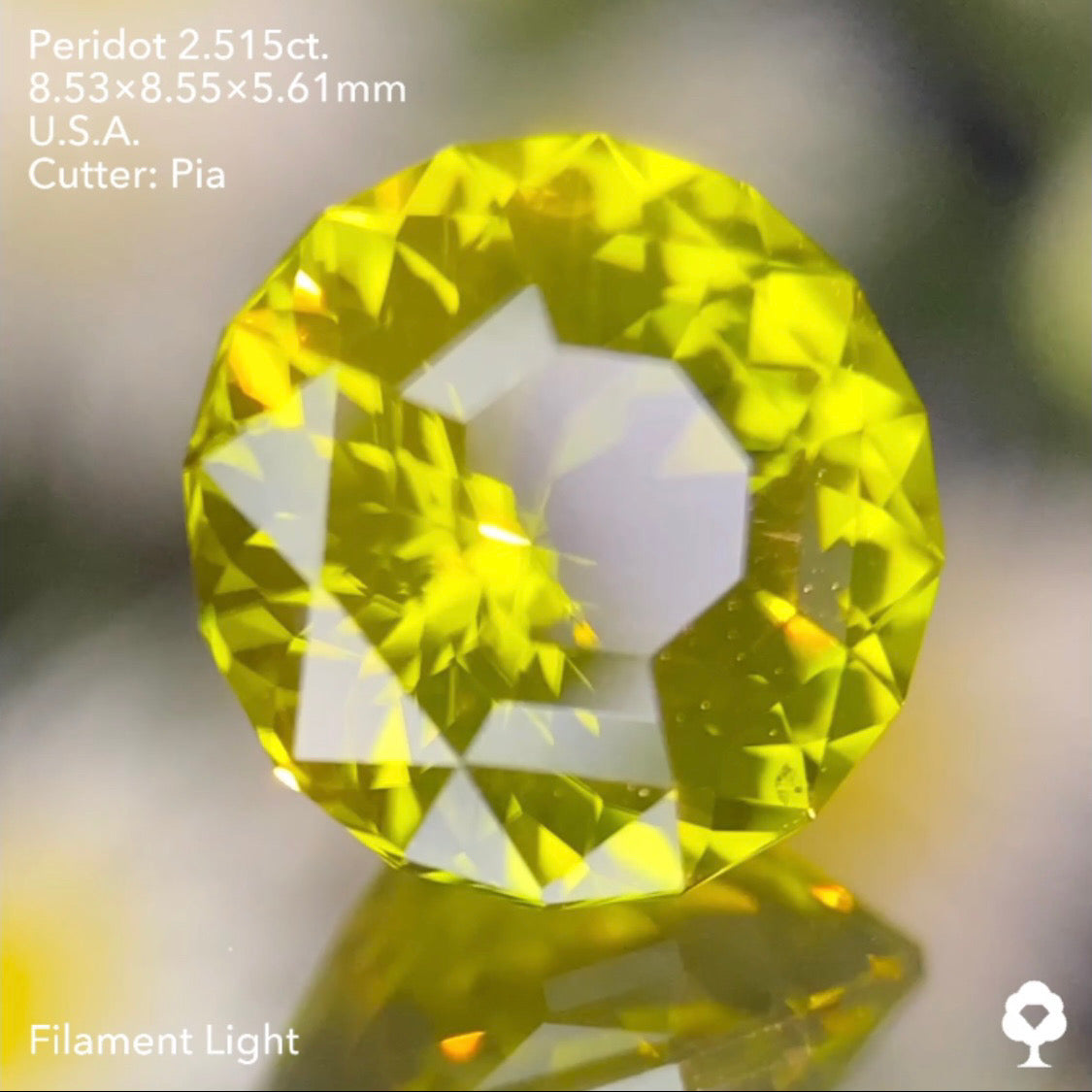 抹茶のようなシルキー感あるテーブル8角形の2段縁取り新カット★ペリドット2.515ct. アメリカ産 ピアッちゃん作品