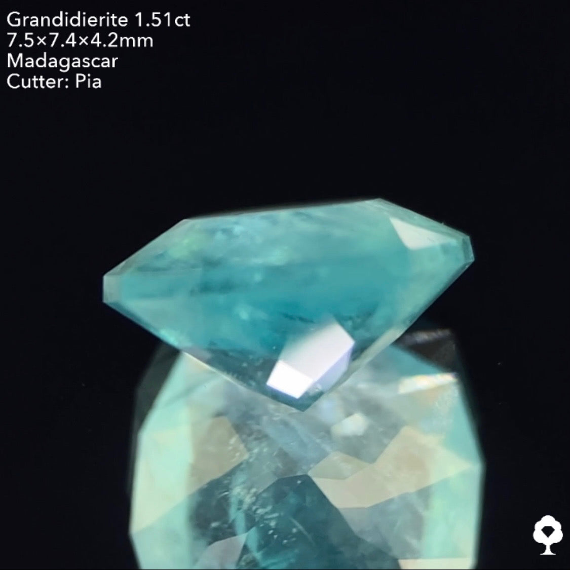 【仕切り直し‼️個展特別オークション】グランディディエライト1.51ct