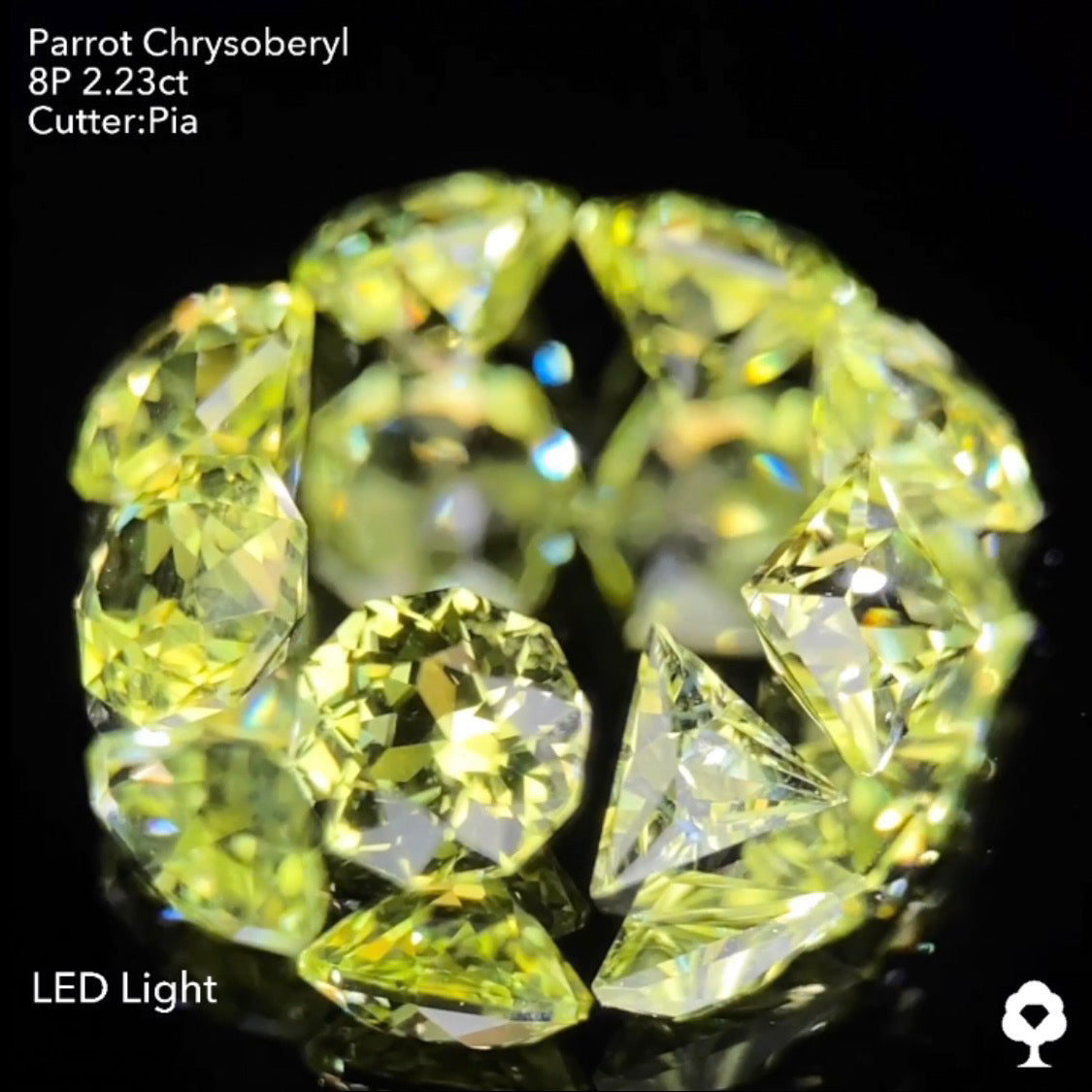 【9/1(木)終了‼️1ヶ月オークション】パロットクリソベリル2.23ct. ピアッちゃん作品