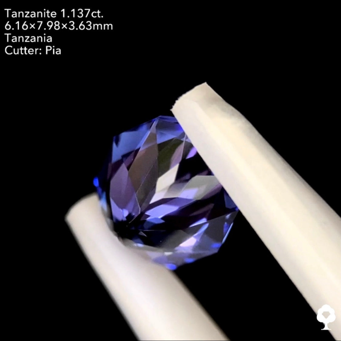 タンザナイト1.137ct. ファンシーオーバル ピアッちゃん作品
