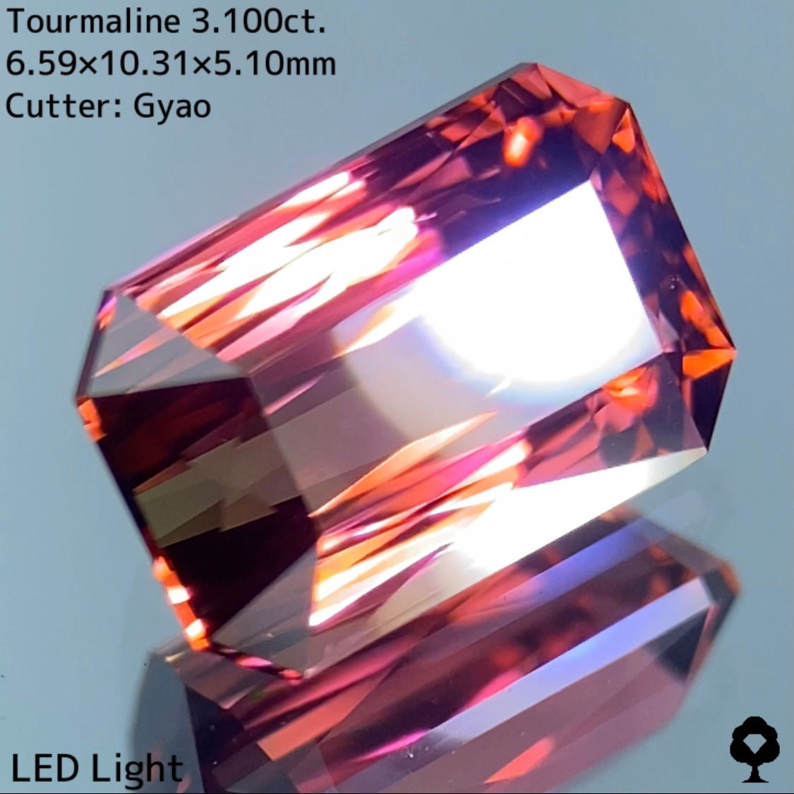 大人可愛いピンクからゴールドへのグラデーションにシザースの圧倒的な輝き★トルマリン 3.100ct