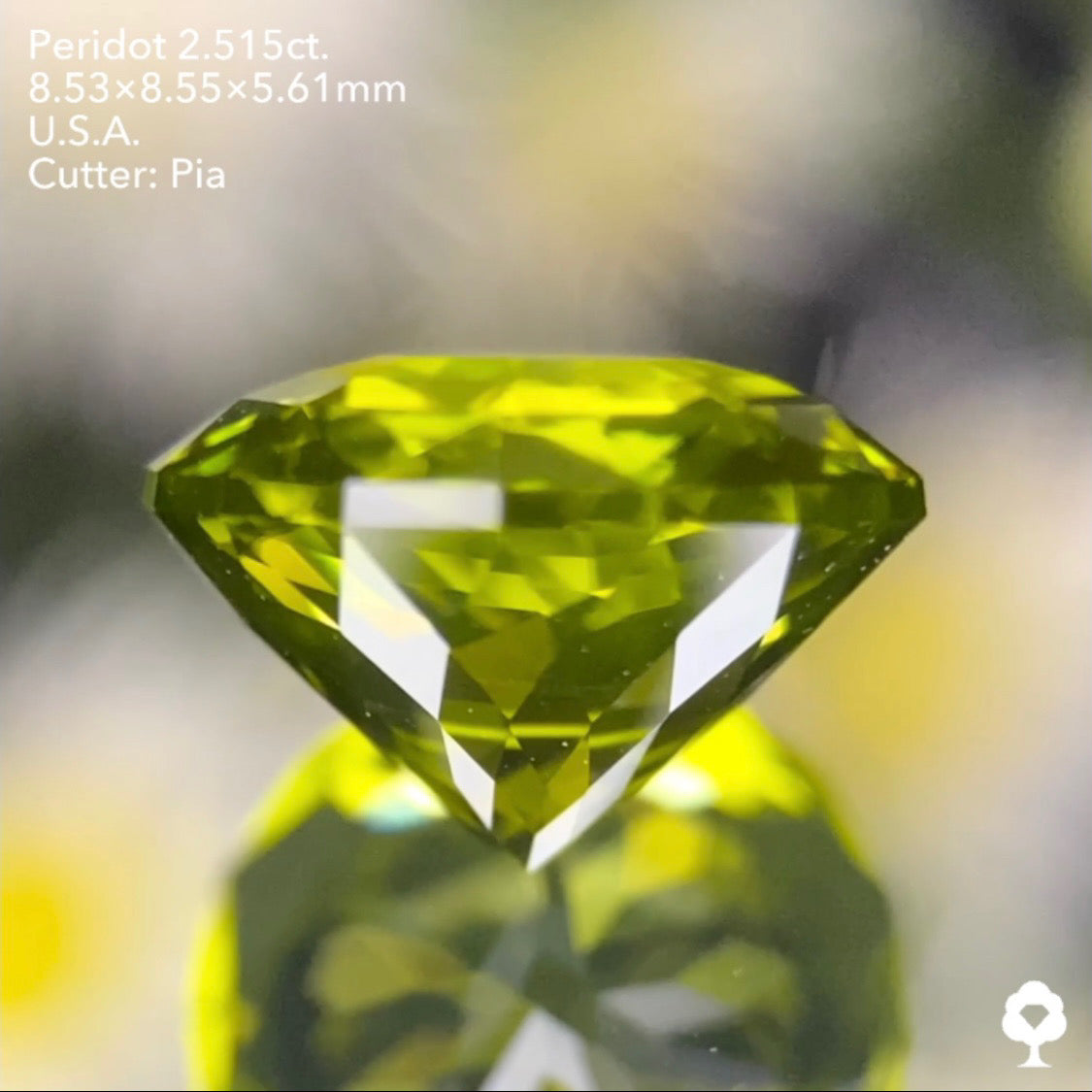 抹茶のようなシルキー感あるテーブル8角形の2段縁取り新カット★ペリドット2.515ct. アメリカ産 ピアッちゃん作品