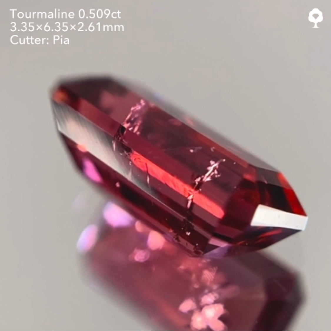 【サイレン配信逆オークション】トルマリン0.509ct ピアッちゃん作品