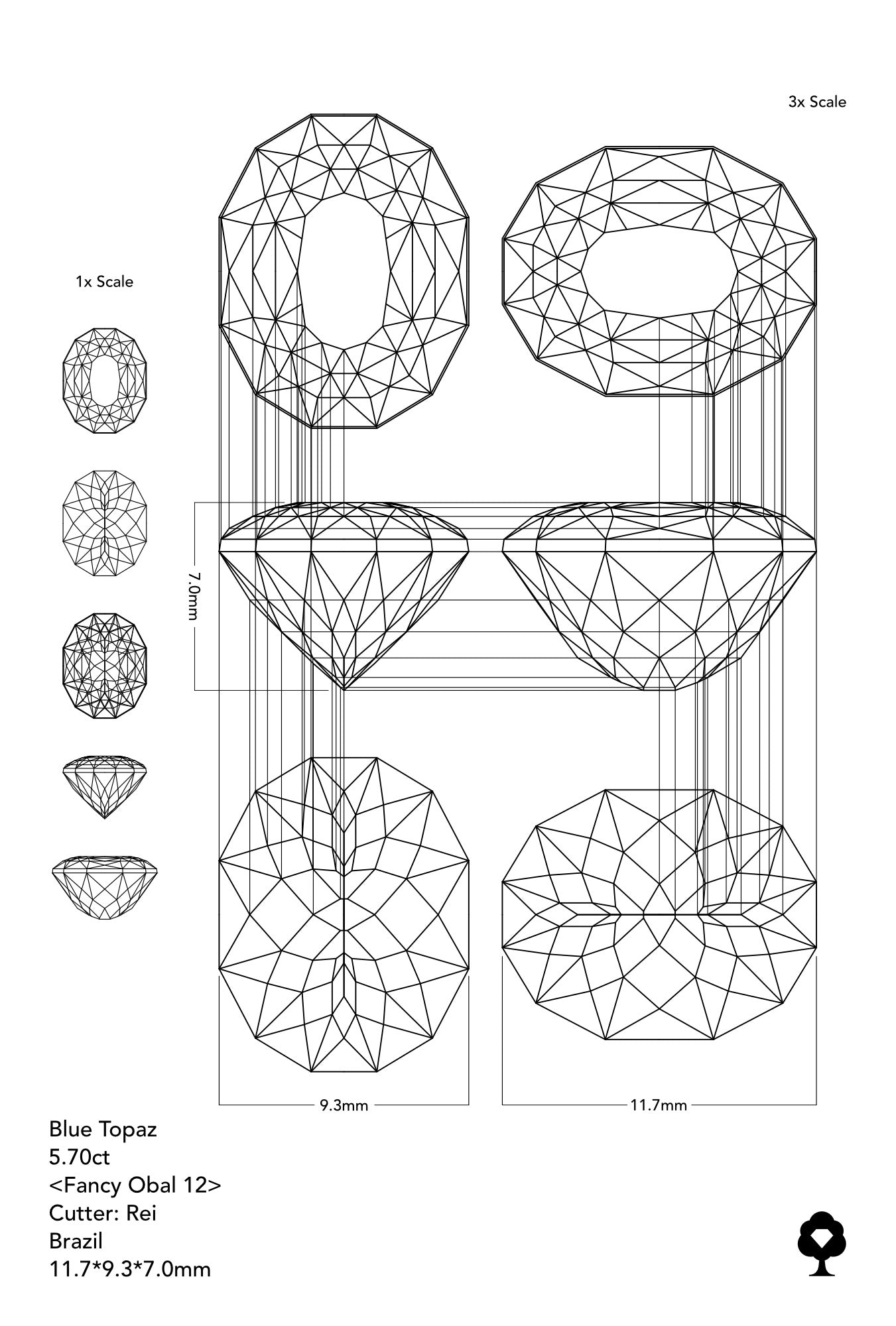 GemTreeIrmoðœãã«ãŒãããŒãº Blue Topaz 5.40ct / Cutter: Rei / Fancy Oval 12