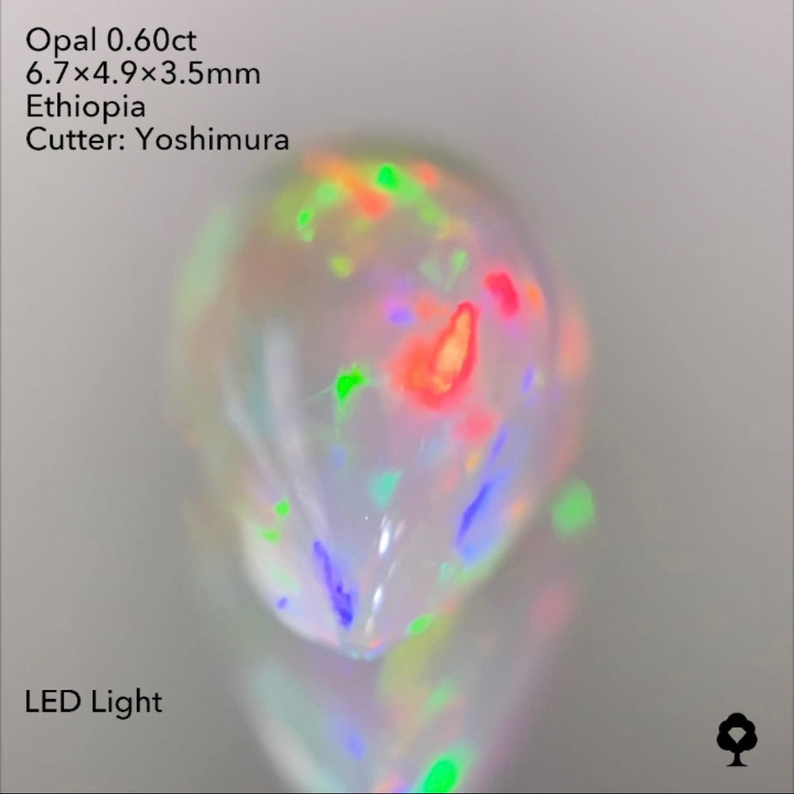 【SOLD OUT】オパール0.60ct 吉村作品 3/31チャットオークション
