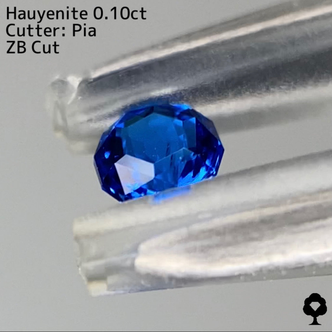 【ZBカット】アウィンナイト0.100ct. ピアッちゃん作品