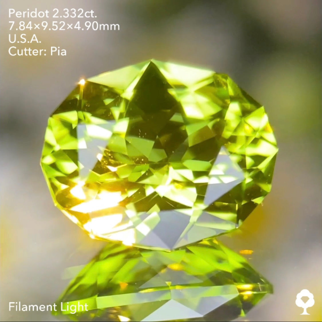 ファンシーオーバルの2ステップクラウンがピアッちゃんの進化を感じる美結晶★ペリドット2.332ct. アメリカ産 ピアッちゃん作品