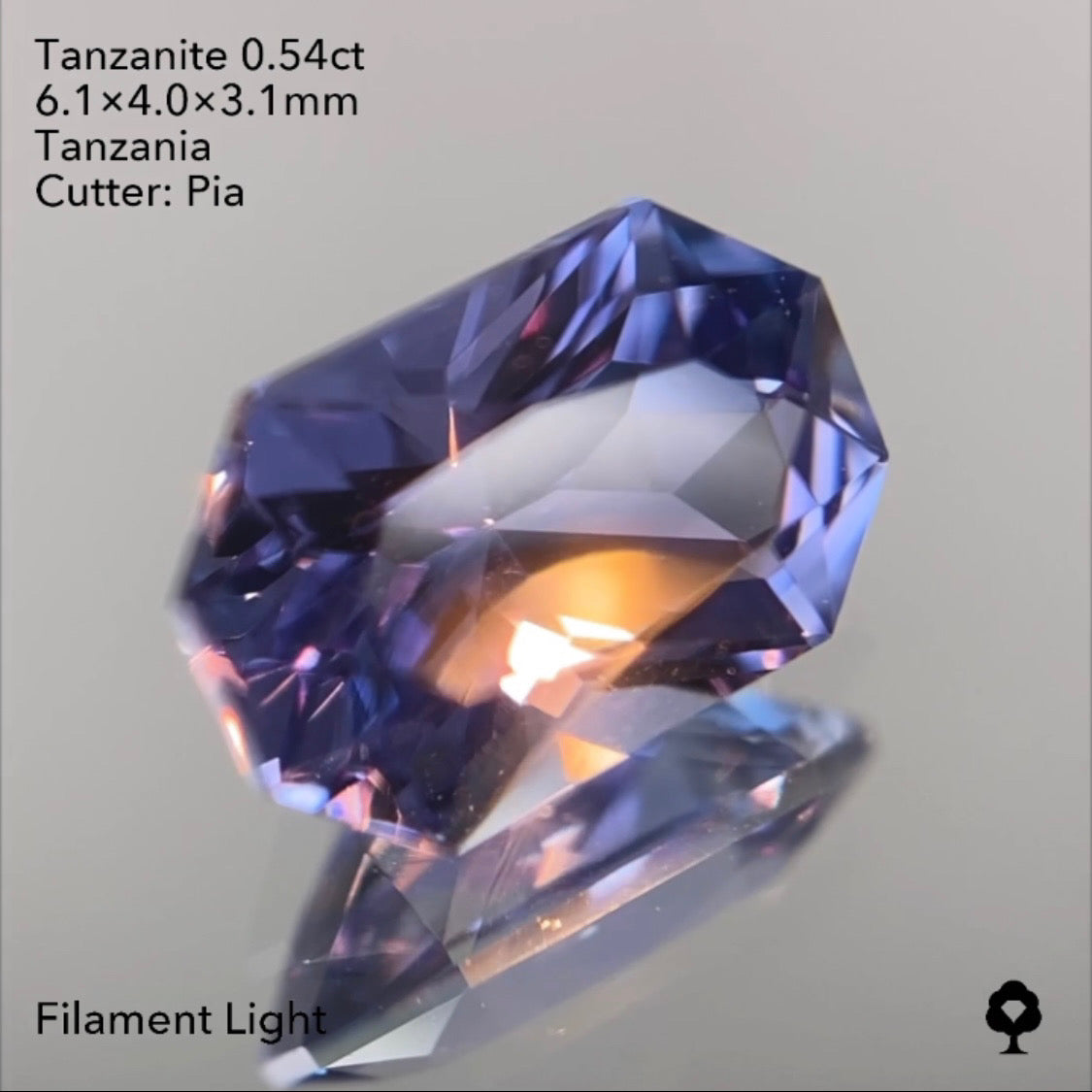 【SOLD OUT】タンザナイト0.54ct ピアッちゃん作品 3/31ライブチャットオークション