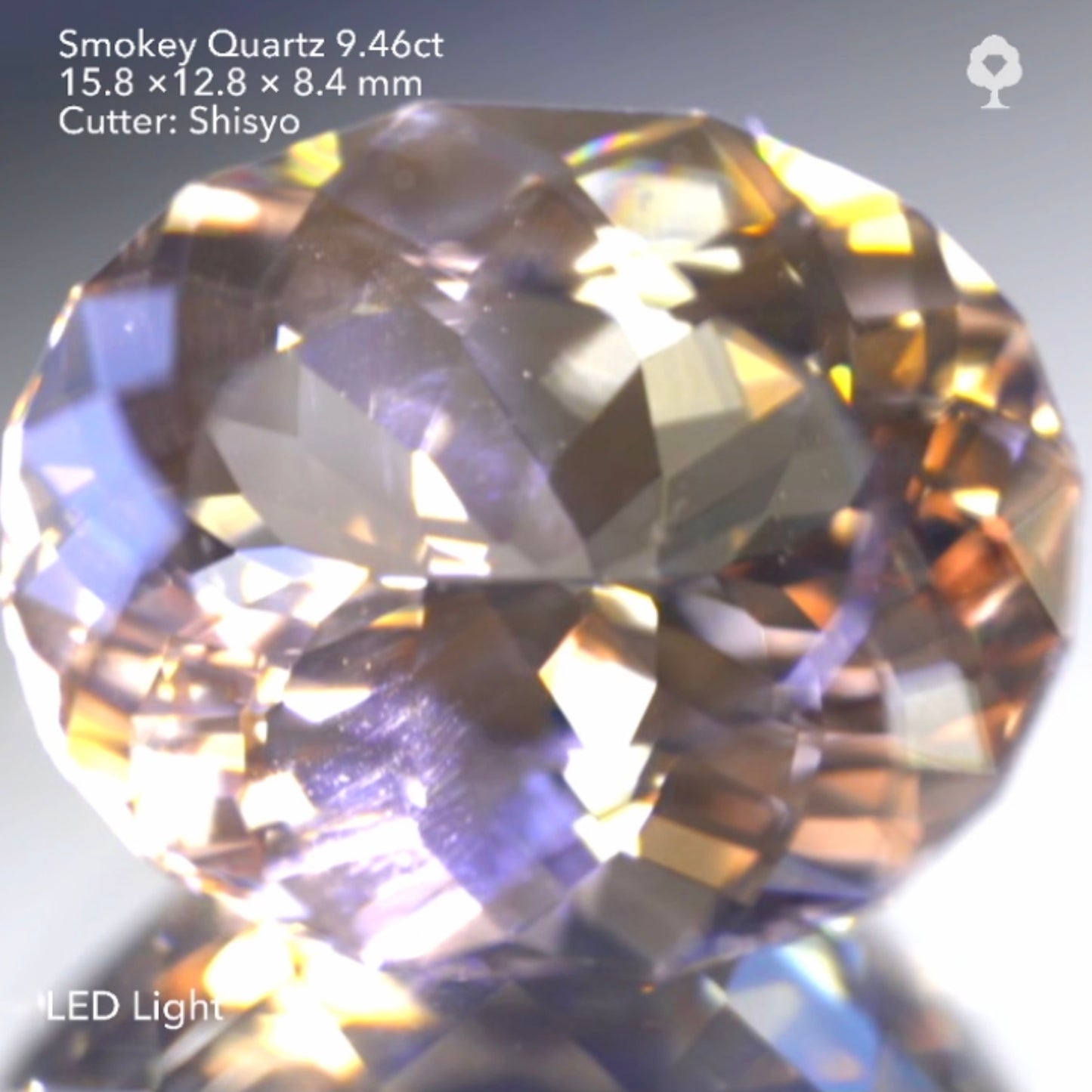 渋さの中に美しさを感じるスモーキークォーツ9.46ct💎師匠作品✨今なら『クーポン or ZB』のご利用もOK❗️