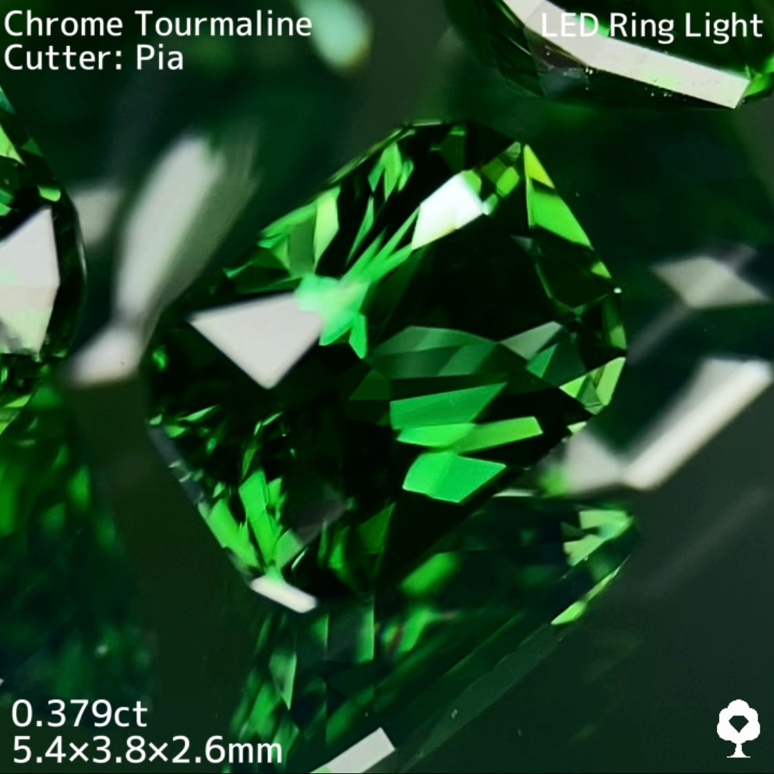 【高級プチプラ】クロムトルマリン 0.379ct