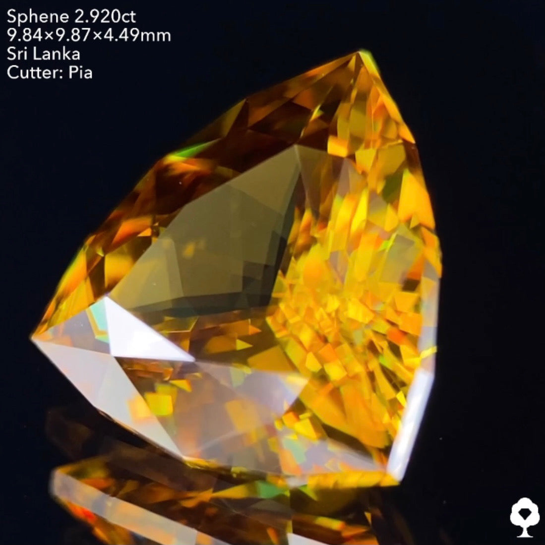 抜群のプロポーションのファンシートリリアント🌈スリランカ産スフェーン2.920ct✨ピアッちゃん作品💎