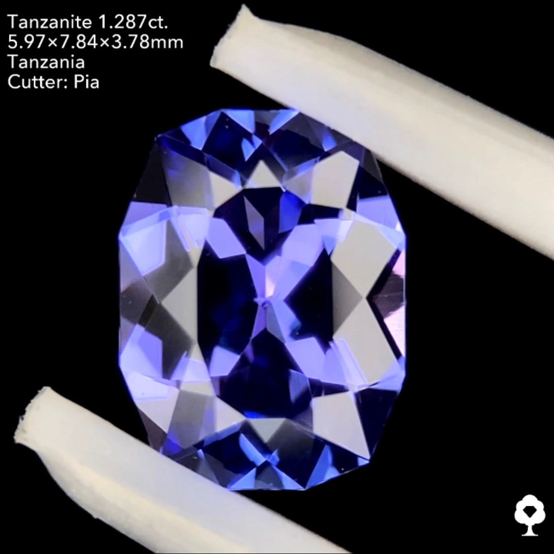 タンザナイト1.287ct. ファンシークッション ピアッちゃん作品