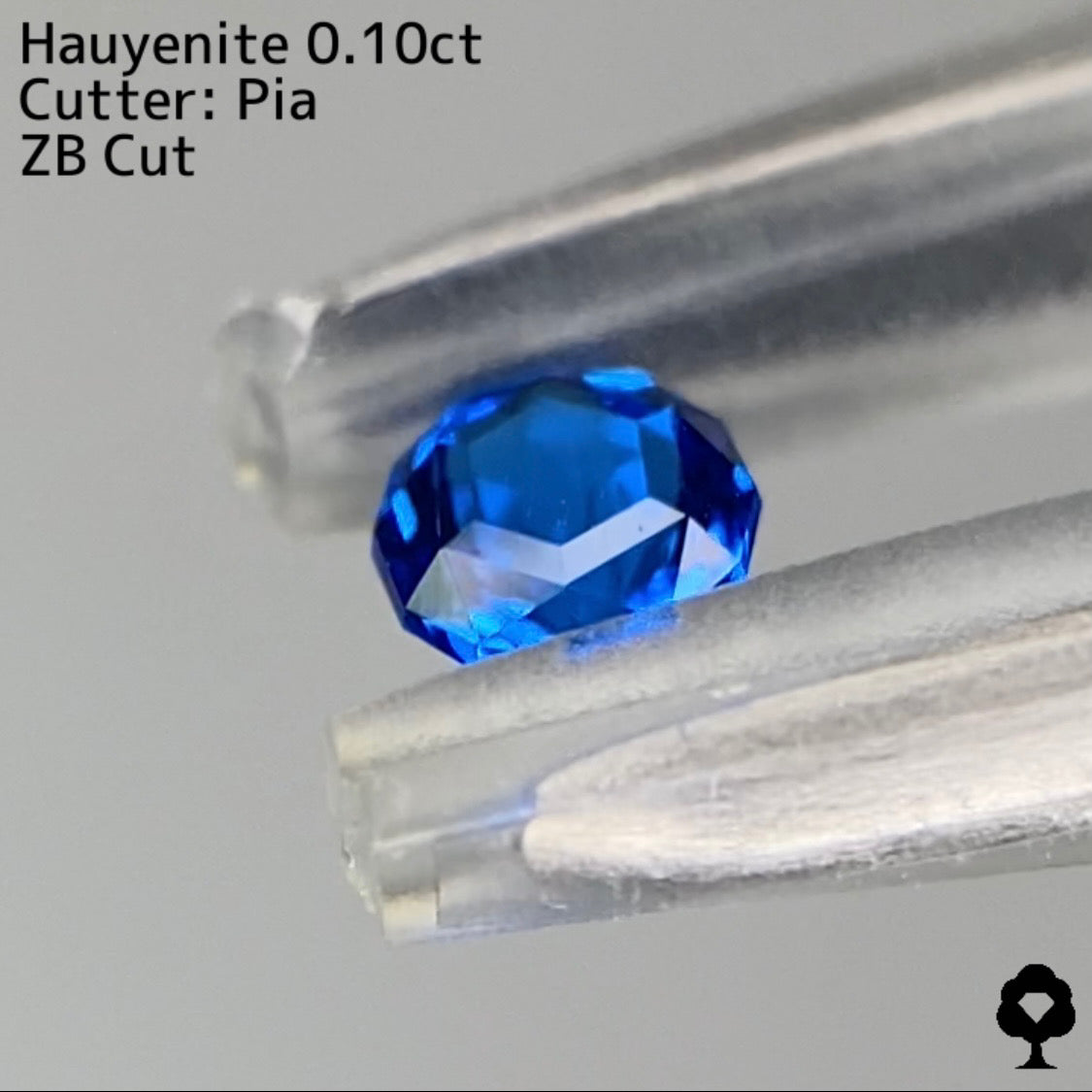 【ZBカット】アウィンナイト0.100ct. ピアッちゃん作品