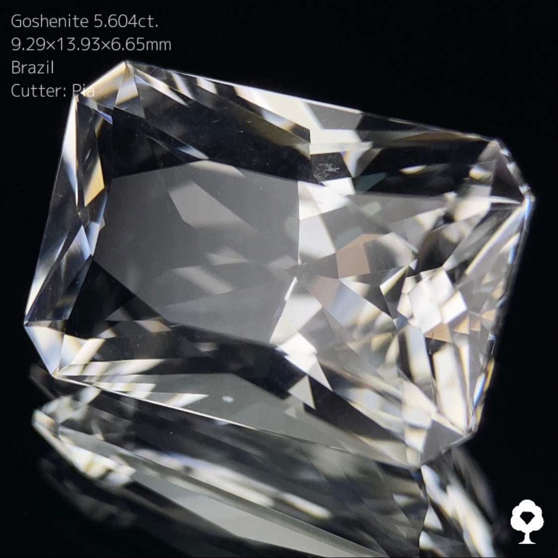 【5/5 21時終了】ZB 7枚迄使用可能【GWオークション③】ゴッシェナイト 5.604ct