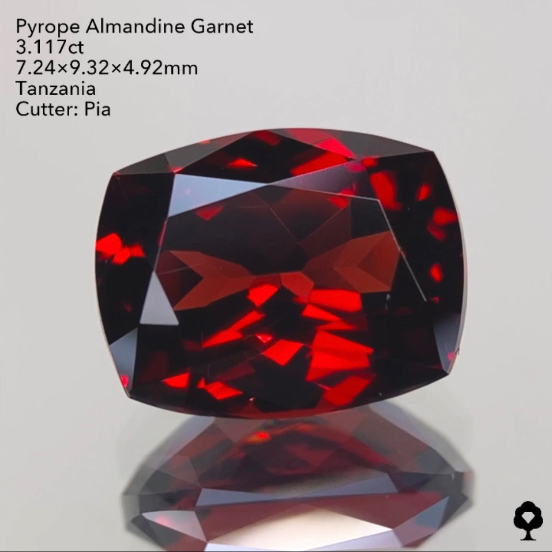 真紅の輝きがたまらない美ロングクッション★パイロープアルマンディンガーネット3.117ct ピアッちゃん作品