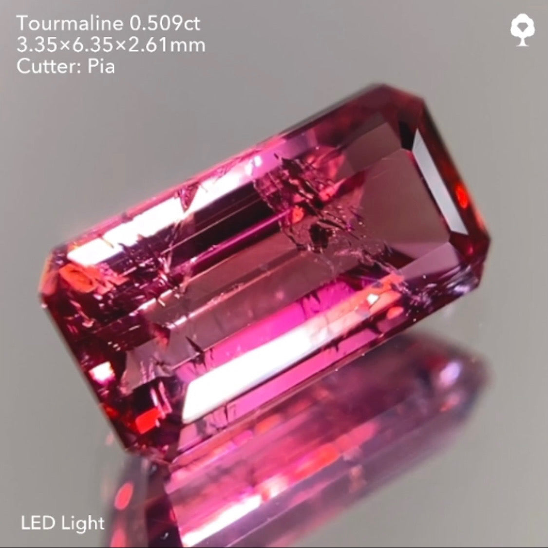 【サイレン配信逆オークション】トルマリン0.509ct ピアッちゃん作品