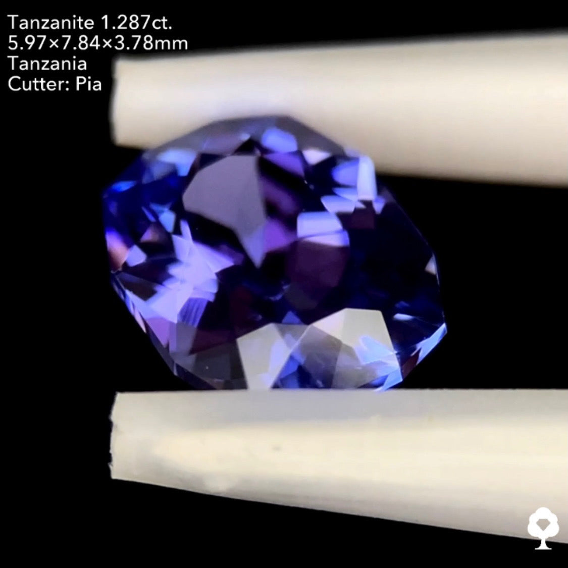 タンザナイト1.287ct. ファンシークッション ピアッちゃん作品